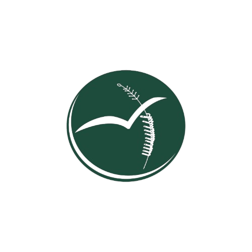 Bangladesh Social Peace Foundation (BSPF)